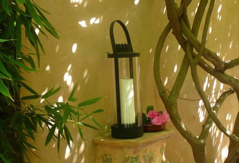 בית מלון כפרי Ca N Bando