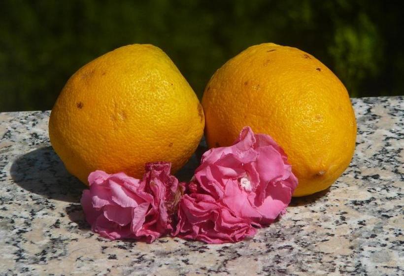 בית מלון כפרי Ca N Bando