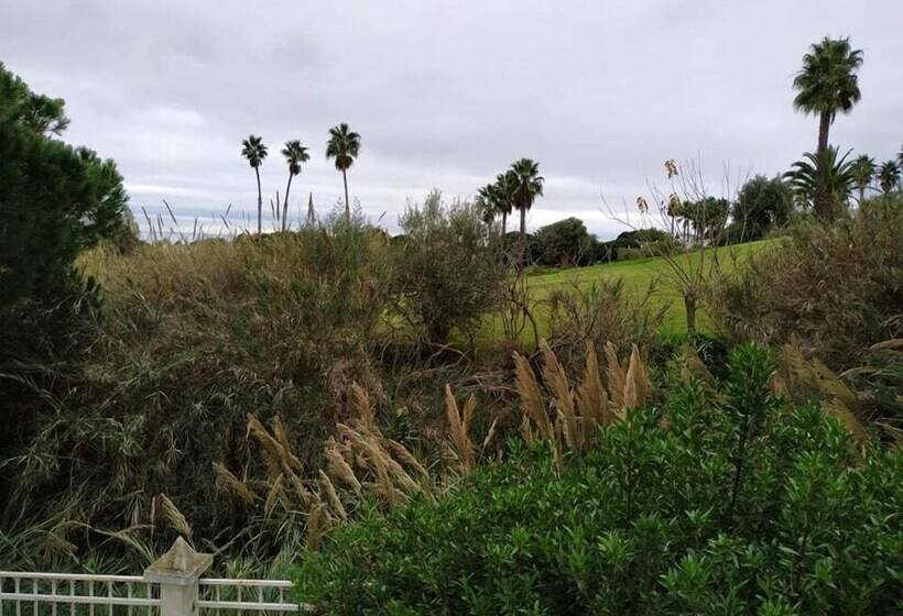 T3 Sra Da Rocha By Casas & Papéis