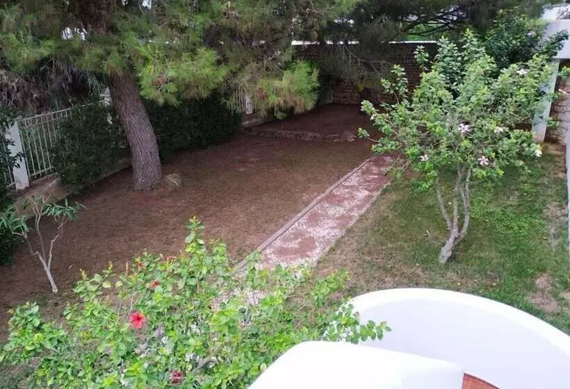 T3 Sra Da Rocha By Casas & Papéis