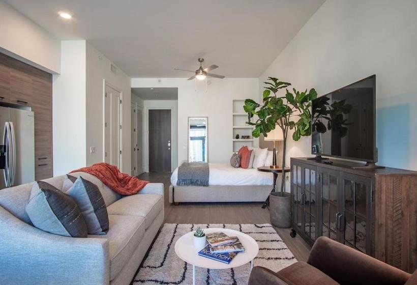 Why Houston Downtown