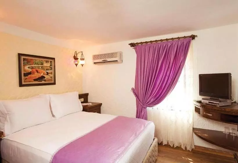هتل Cicerone Lodge