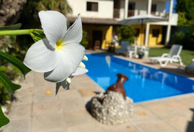 ペンション Pousada Aruanã