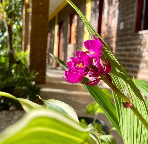 ペンション Pousada Aruanã