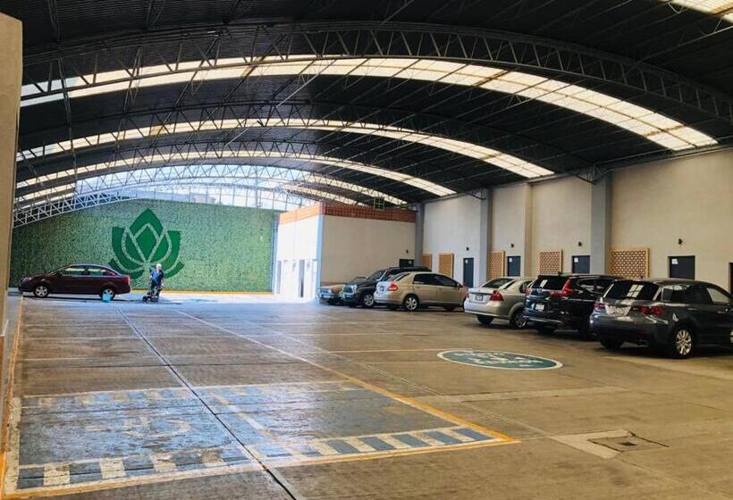 Hotel Lirio Adult Only