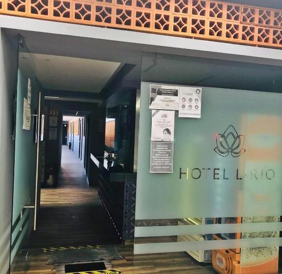 Hotel Lirio Adult Only