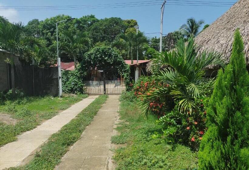 هتل El Leon Feliz Palomino