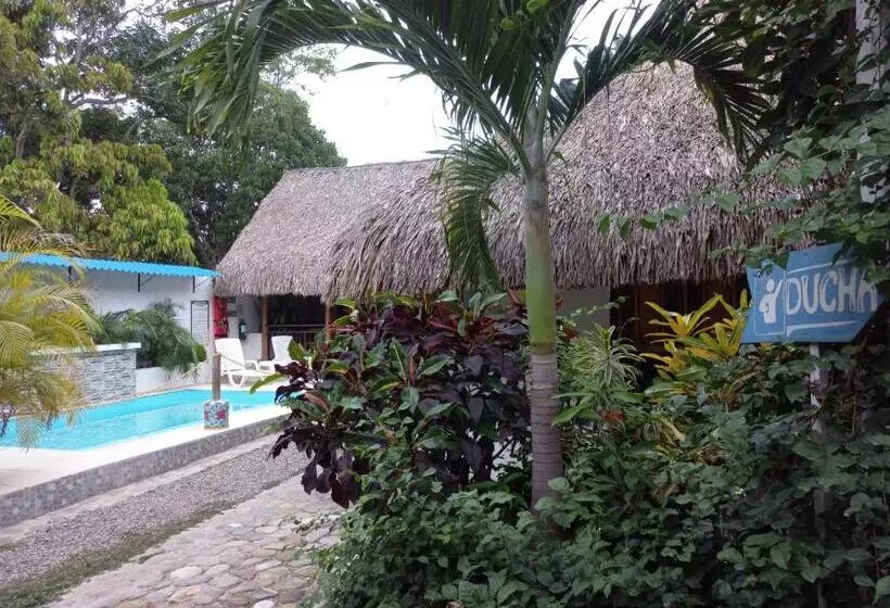 Hotelli El Leon Feliz Palomino