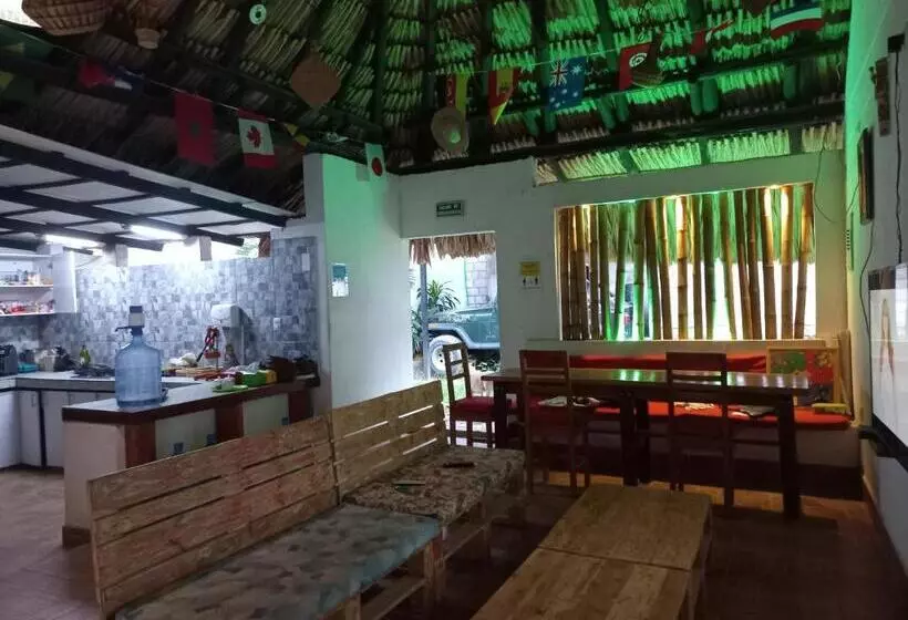 Hotelli El Leon Feliz Palomino