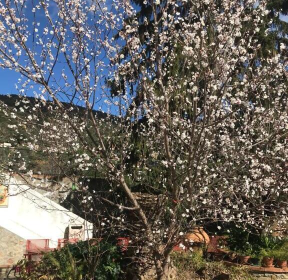 호텔 Hébergements à La Rive, Accueil Ouvert Tous Les Jours Jusqu à 20h00 Dernier Délai, Depuis 30 Ans ! R