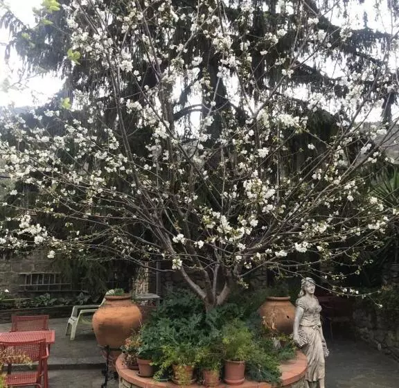 Hotelli Hébergements à La Rive, Accueil Ouvert Tous Les Jours Jusqu à 20h00 Dernier Délai, Depuis 30 Ans ! R