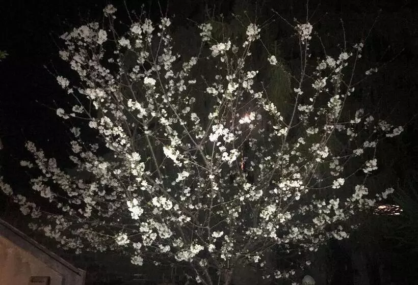 Hotelli Hébergements à La Rive, Accueil Ouvert Tous Les Jours Jusqu à 20h00 Dernier Délai, Depuis 30 Ans ! R