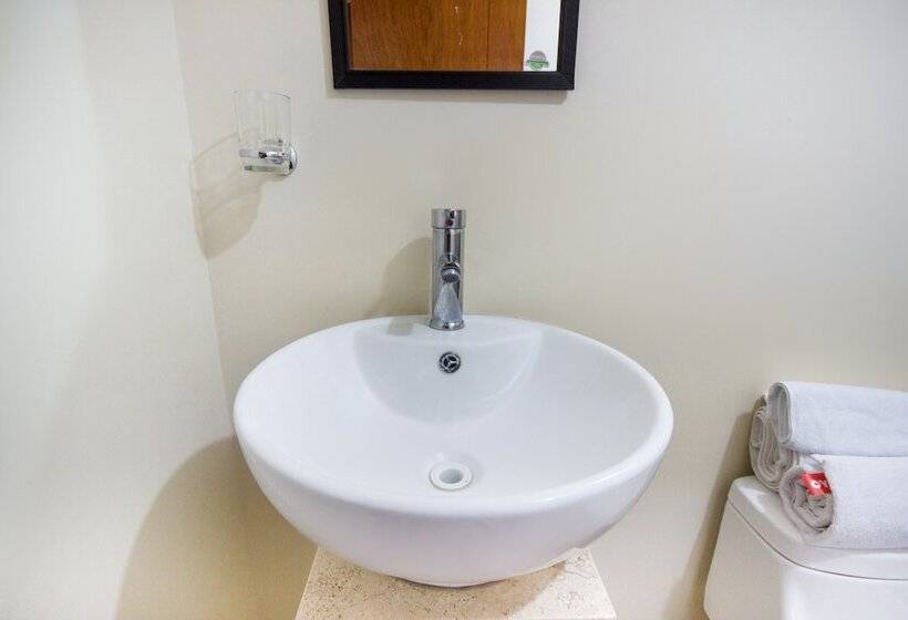 فندق Suites Del Pozo