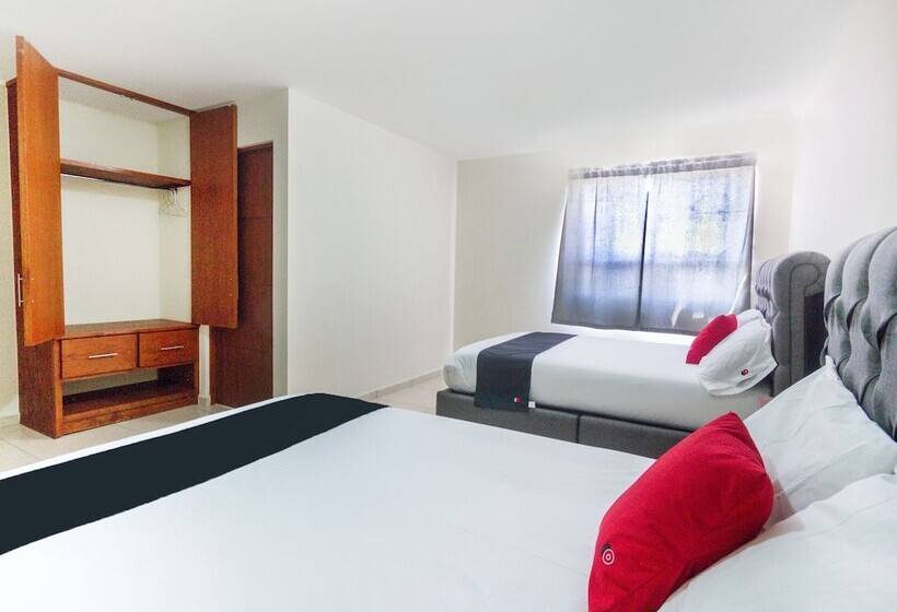 فندق Suites Del Pozo