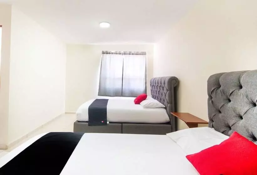 هتل Suites Del Pozo