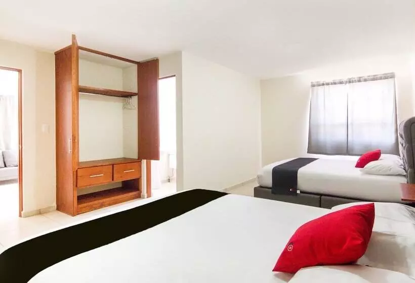 هتل Suites Del Pozo