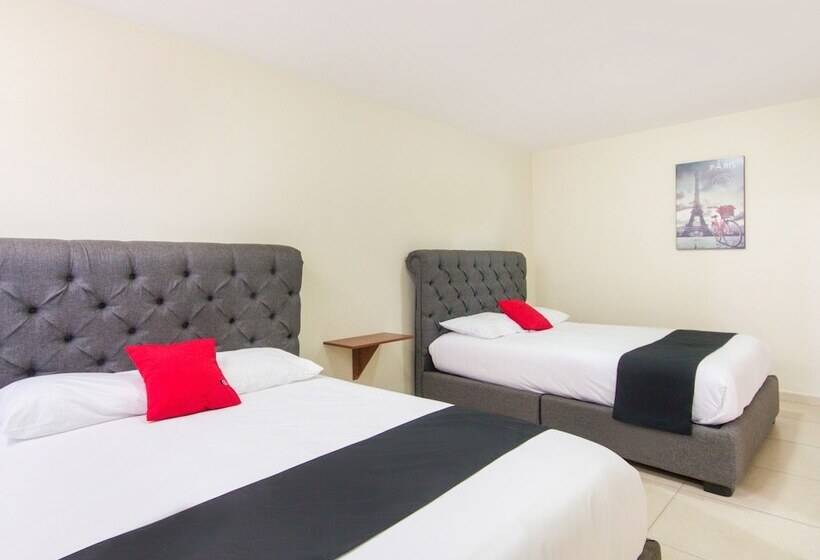 فندق Suites Del Pozo