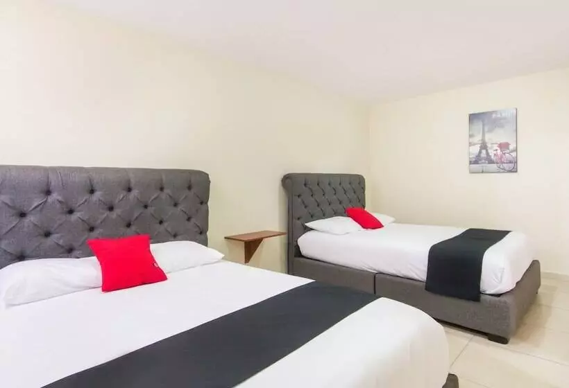 هتل Suites Del Pozo