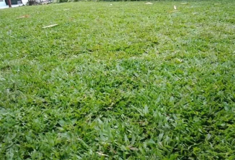 هتل Annabelle Guest House