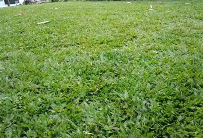 هتل Annabelle Guest House