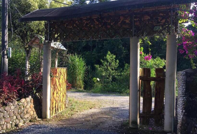 تختخواب و صبحانه Guest House Great Hostels Amazon