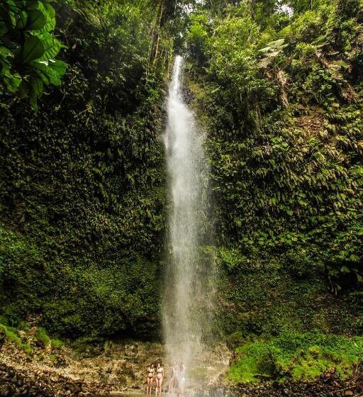 تختخواب و صبحانه Guest House Great Hostels Amazon