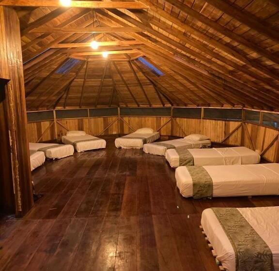 تختخواب و صبحانه Guest House Great Hostels Amazon