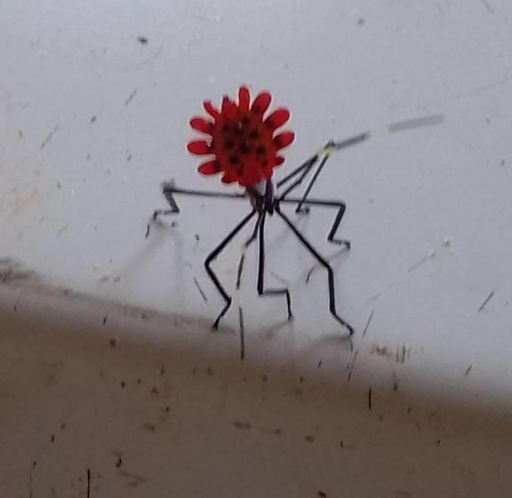 تختخواب و صبحانه Guest House Great Hostels Amazon