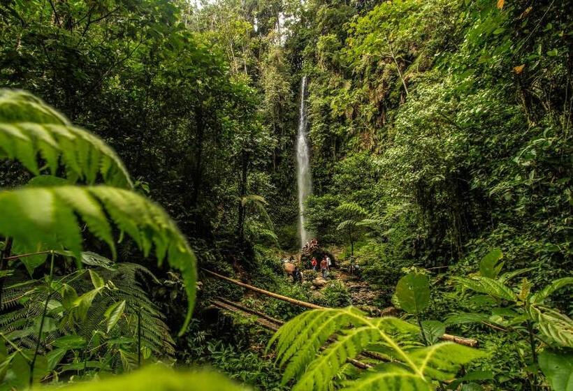 تختخواب و صبحانه Guest House Great Hostels Amazon