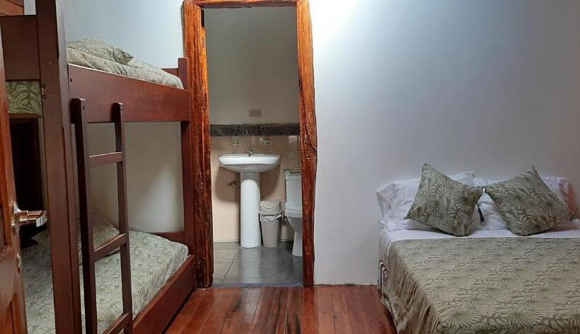 تختخواب و صبحانه Guest House Great Hostels Amazon