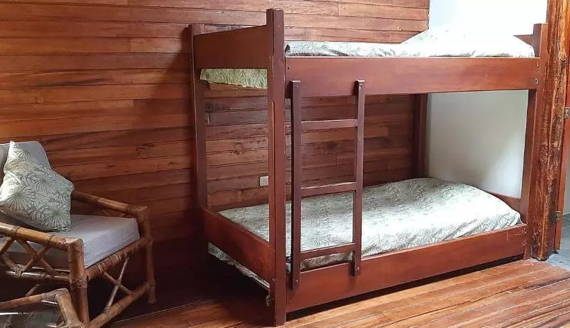 تختخواب و صبحانه Guest House Great Hostels Amazon