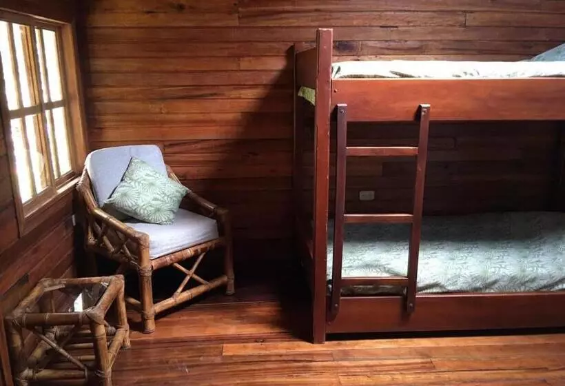 تختخواب و صبحانه Guest House Great Hostels Amazon