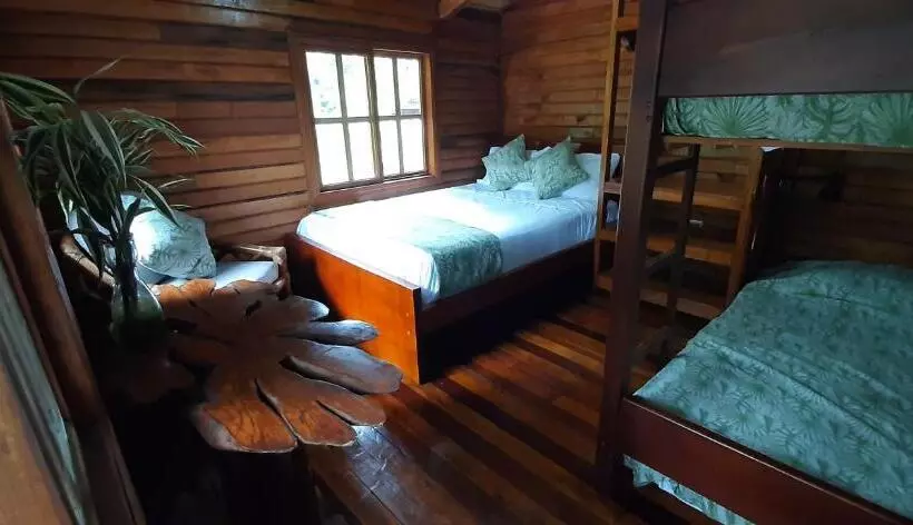 تختخواب و صبحانه Guest House Great Hostels Amazon