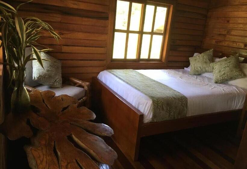 تختخواب و صبحانه Guest House Great Hostels Amazon