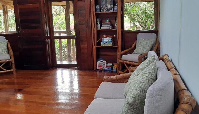 تختخواب و صبحانه Guest House Great Hostels Amazon