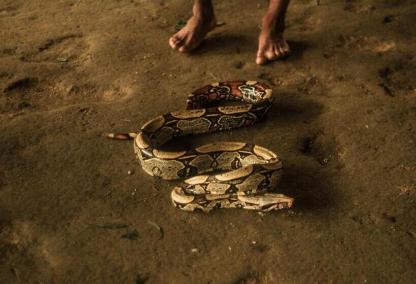 تختخواب و صبحانه Guest House Great Hostels Amazon