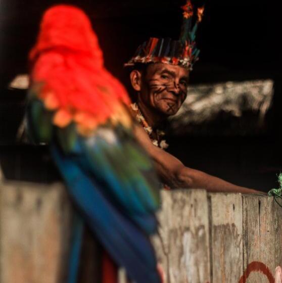 تختخواب و صبحانه Guest House Great Hostels Amazon