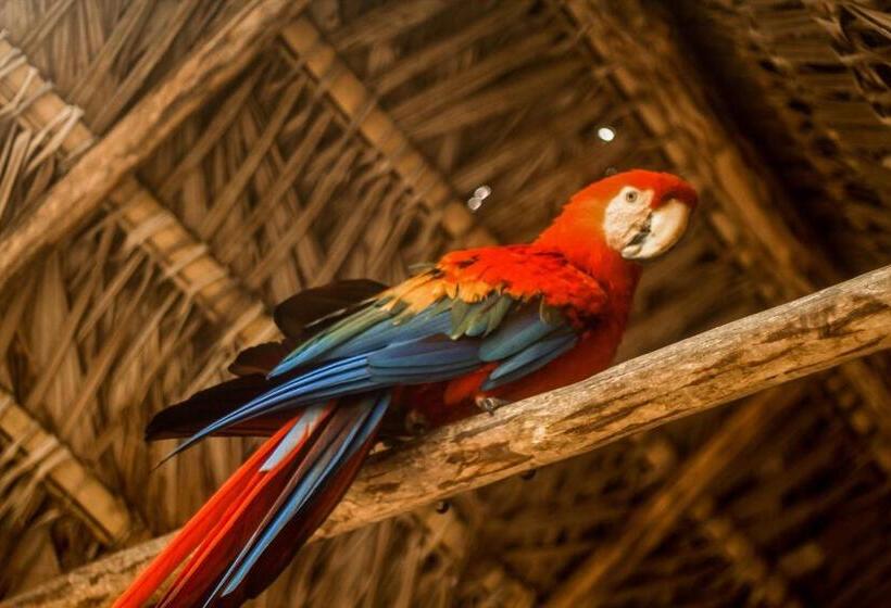 تختخواب و صبحانه Guest House Great Hostels Amazon