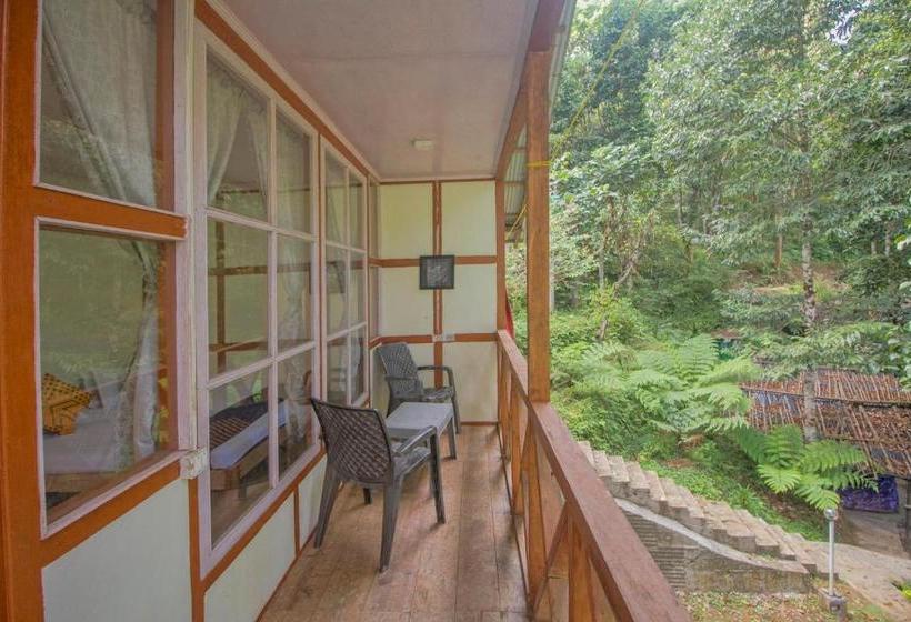 בית מלון כפרי Spot On 63564 Green Woody