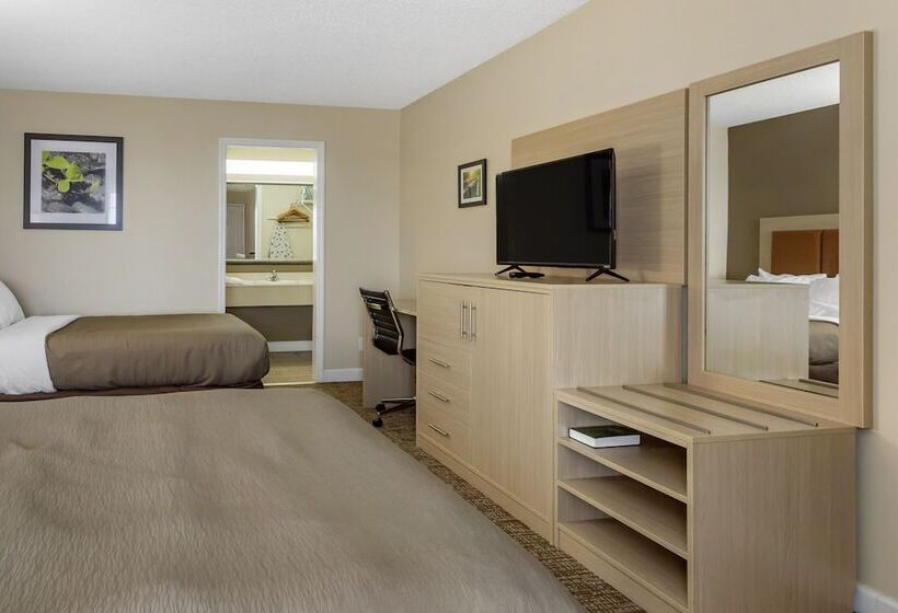 酒店 Richland Inn Of Columbia