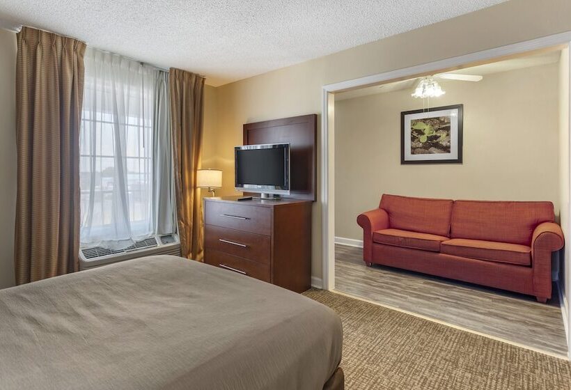 酒店 Richland Inn Of Columbia