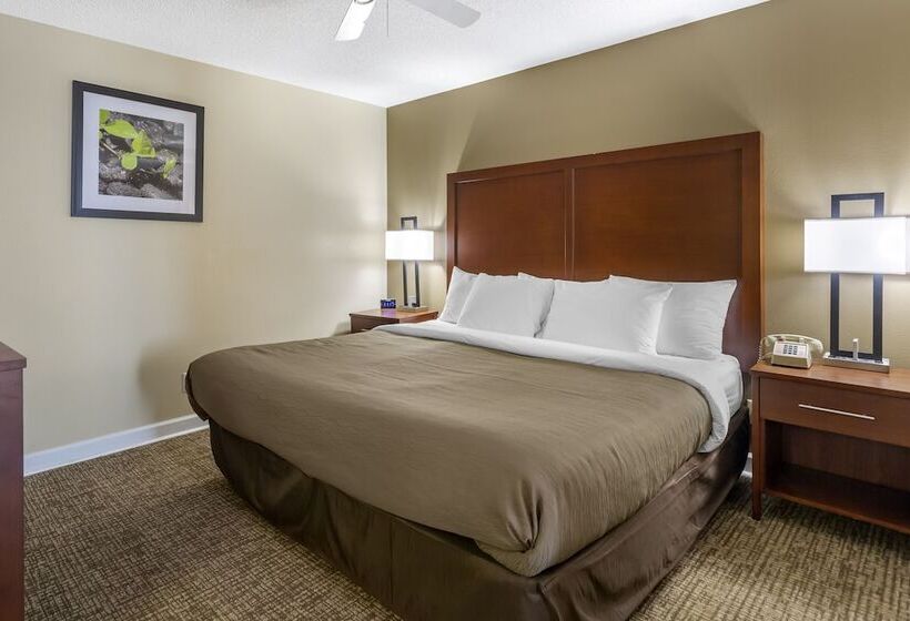 酒店 Richland Inn Of Columbia