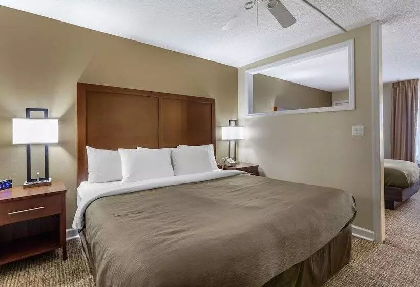 فندق Richland Inn Of Columbia