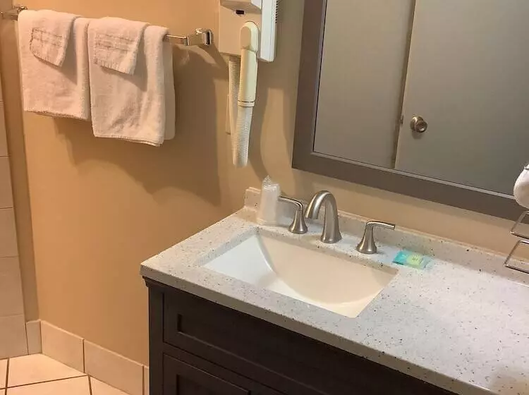 Hotel Riverside Inn Dallas