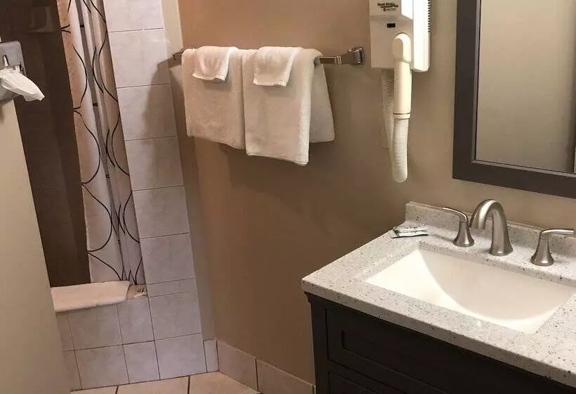 Hotel Riverside Inn Dallas