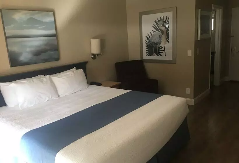 モーテル Rio Sands Vacation Rentals