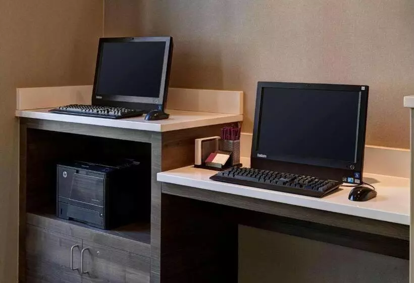 اقامتگاه Sonesta Es Suites Chicago Downtown Magnificent Mile  Medical