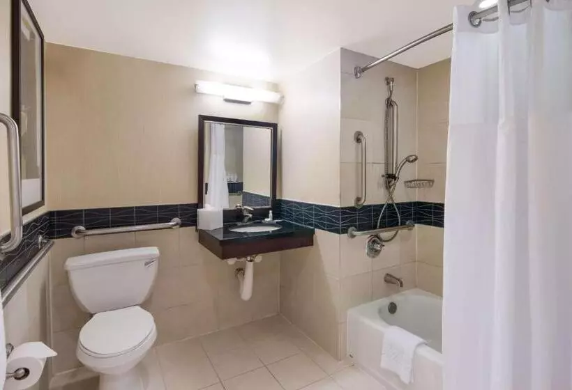 اقامتگاه Sonesta Es Suites Chicago Downtown Magnificent Mile  Medical