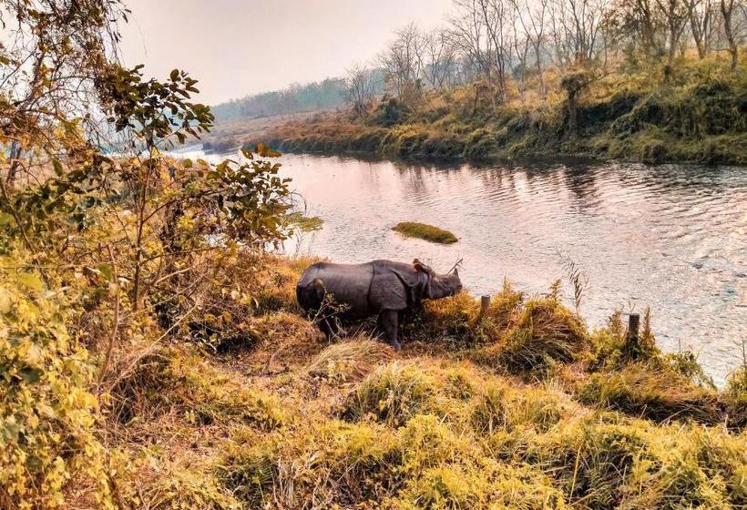 پانسیون Bhupusainik