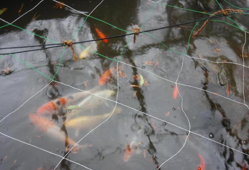 Pensiune Ohanabatake